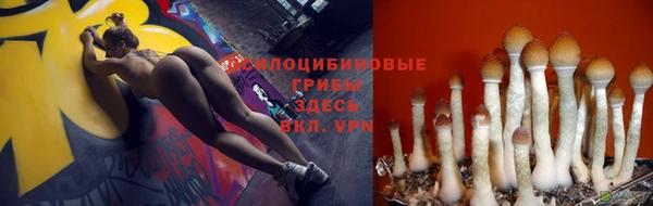 MESCALINE Арсеньев