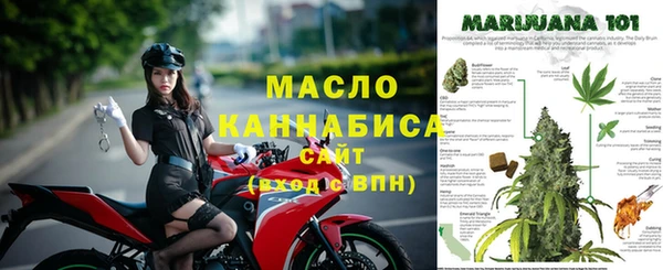 эйфоретик Аркадак
